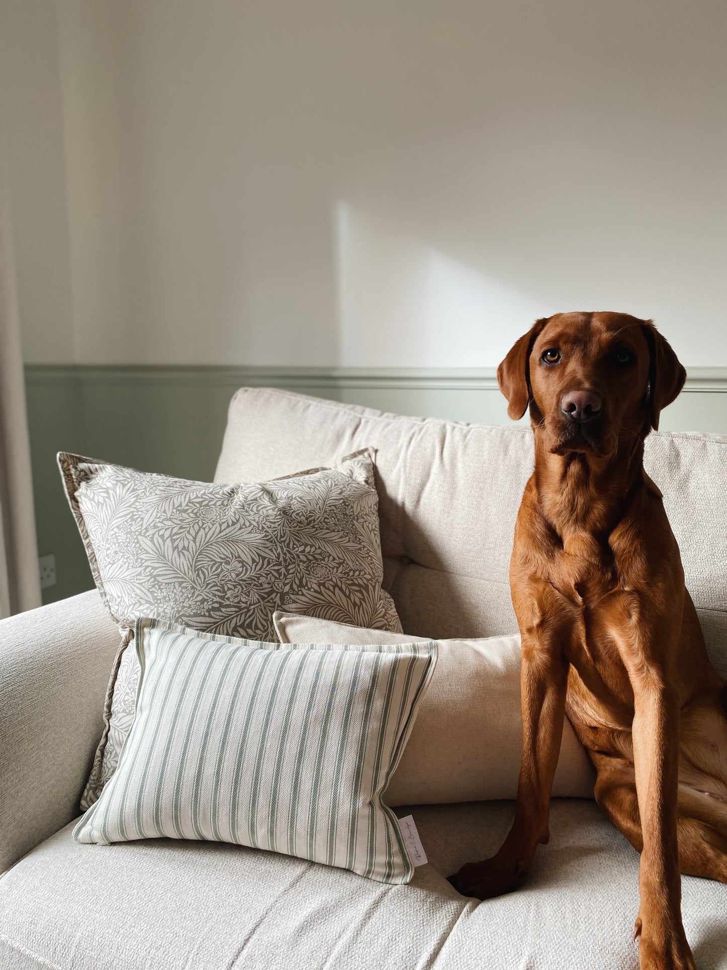 The Hazel - Cream Woven Cushion With Top Stitch Border