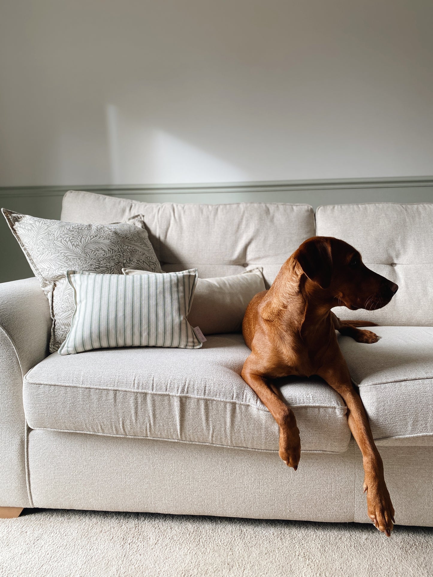 The Riley - Green Ticking Stripe Cushion With Top Stitch Border